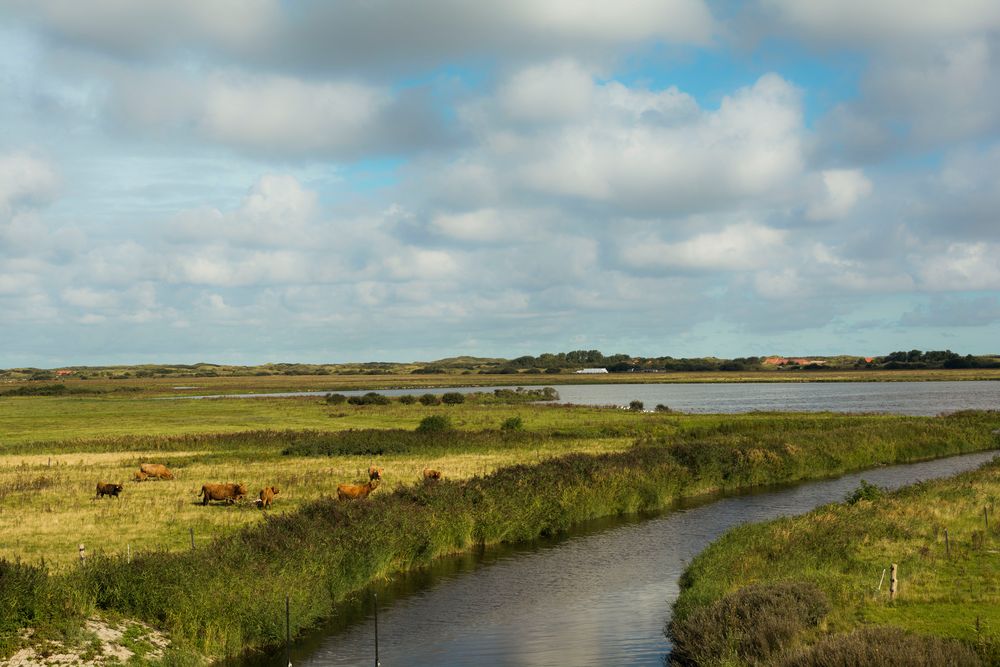 Borkum #10