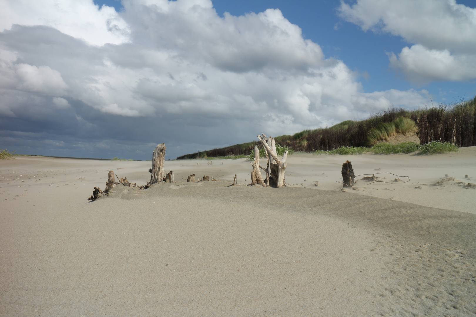 Borkum