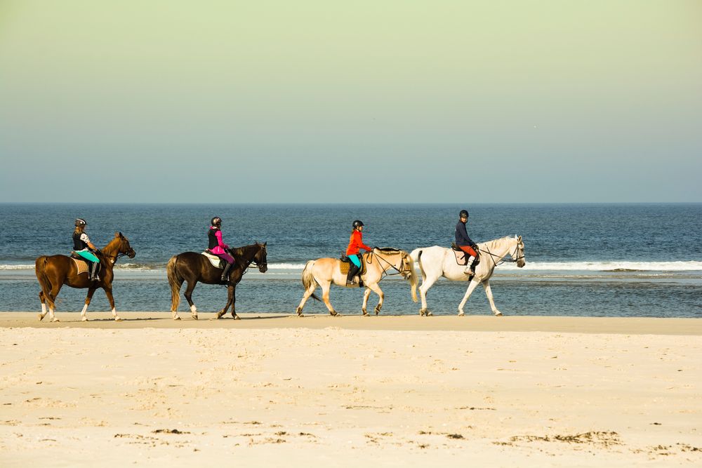 Borkum #11