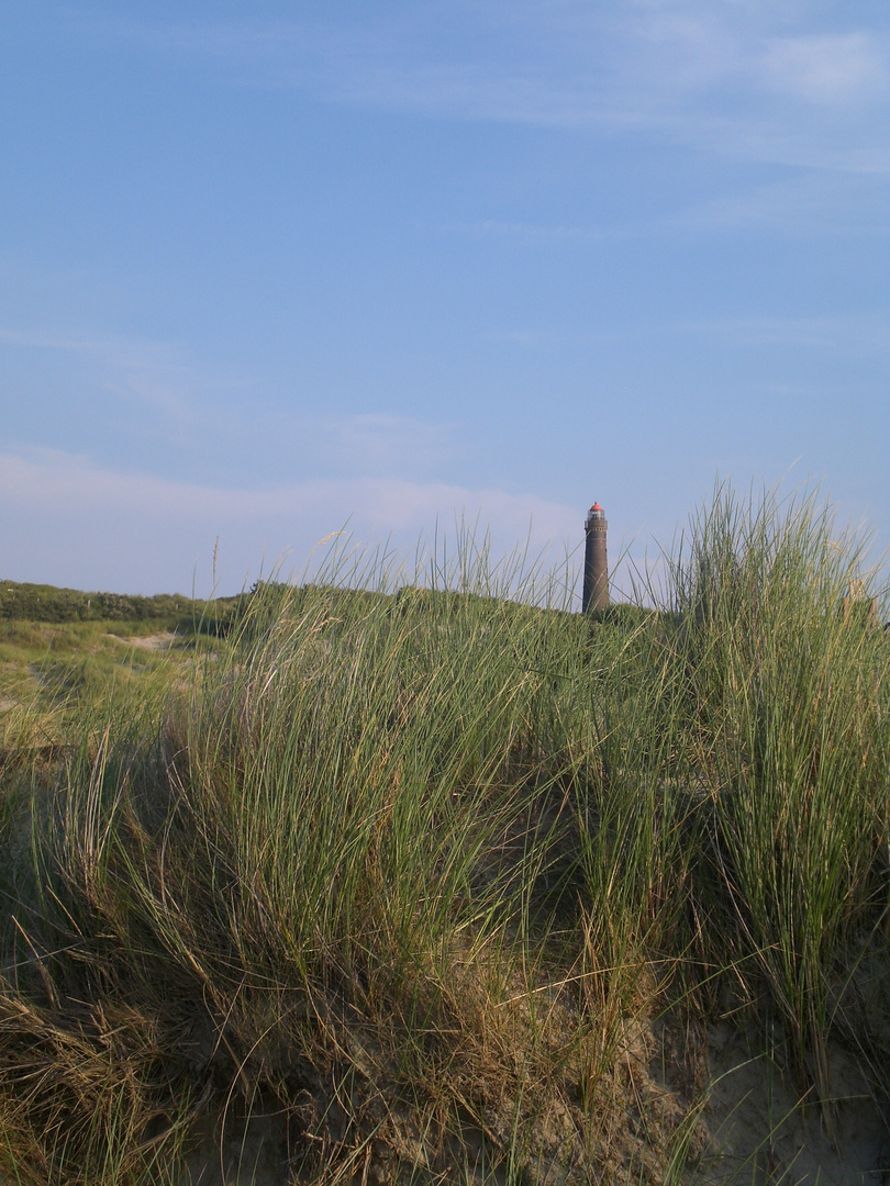 Borkum 14