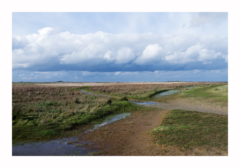 Borkum