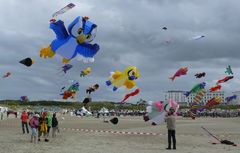 Borkum - 16. Drachenfestival auf der Insel (2)