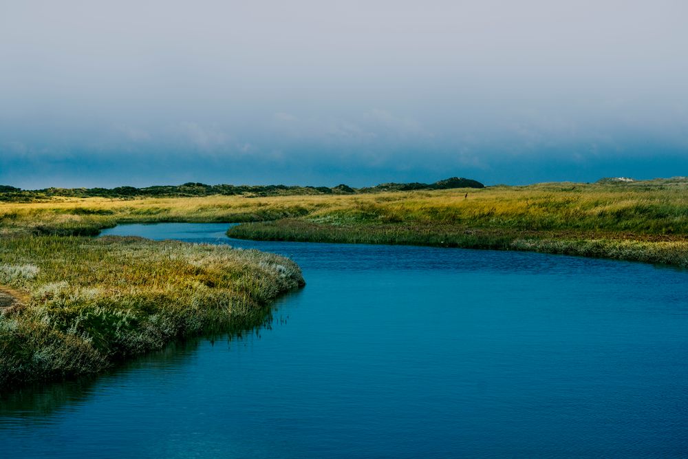 Borkum #18