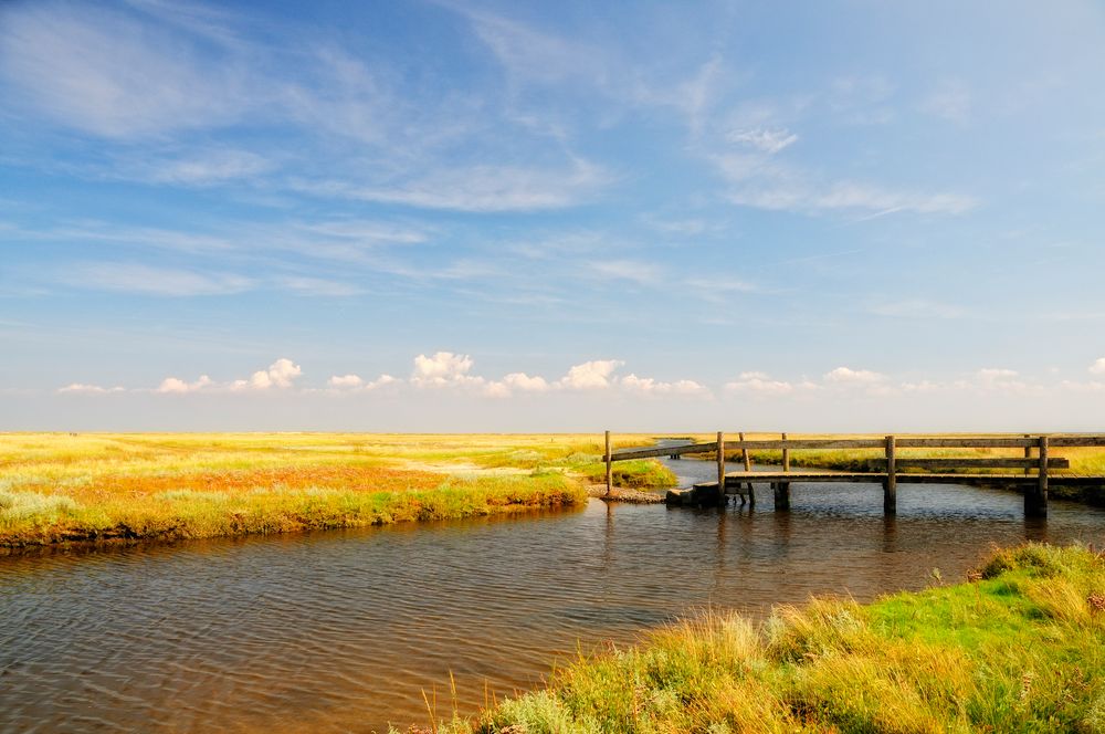 Borkum 2