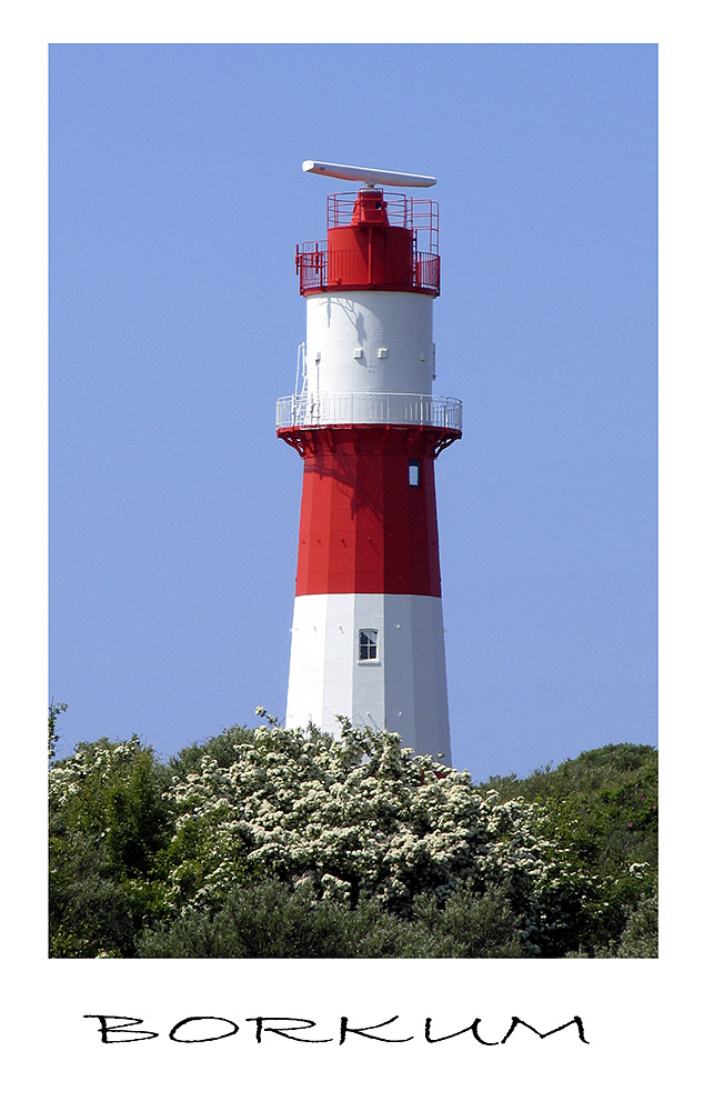 BORKUM 2008