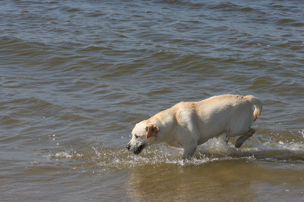 Borkum 2008 - schon mutiger