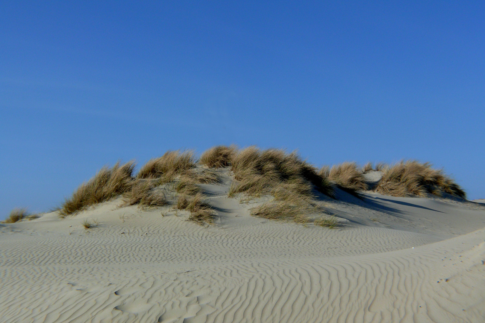 Borkum 2010 - Da muss man einfach immer wieder hin