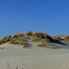 Borkum 2010 - Da muss man einfach immer wieder hin