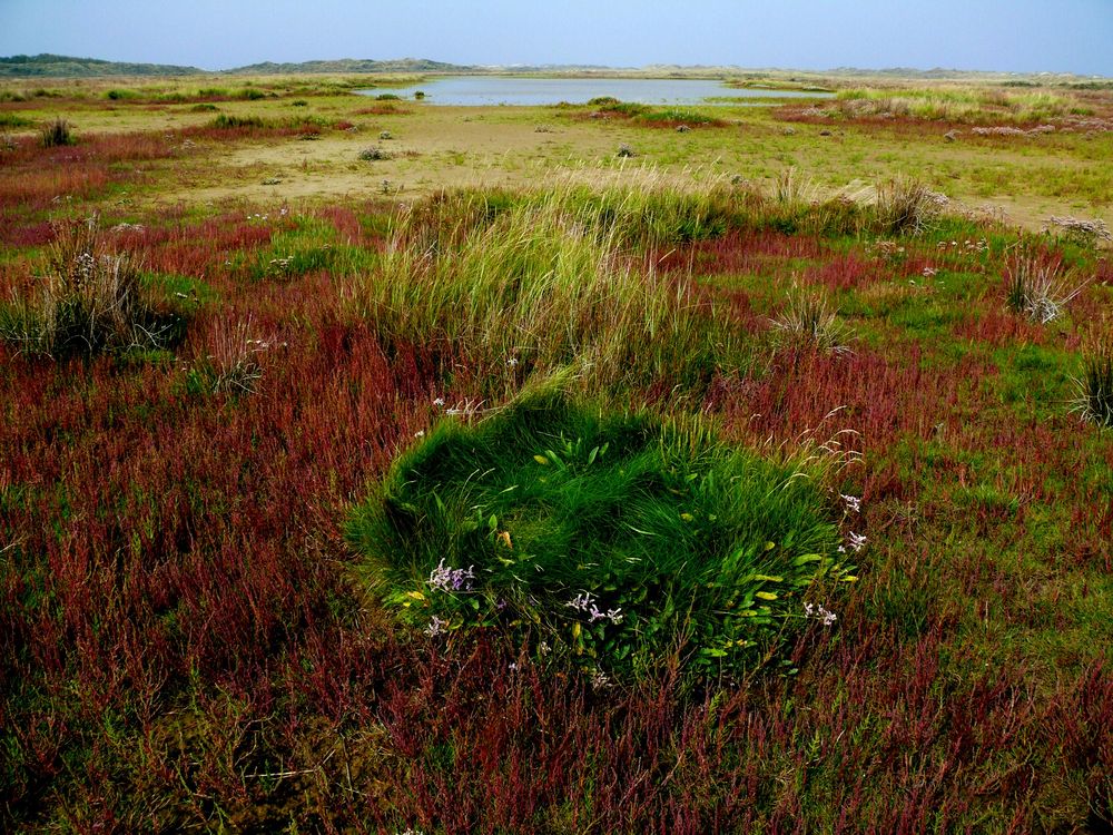 Borkum 2010 - Der Herbst kündigt sich an / "Oldmanns Olde Dünen" (2)