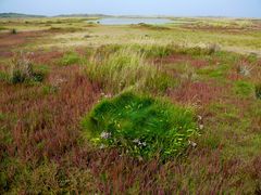 Borkum 2010 - Der Herbst kündigt sich an / "Oldmanns Olde Dünen"