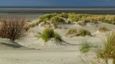 Borkum 2010 - Dünen am Nordstrand in besonderem Licht by Reinhold Müller 