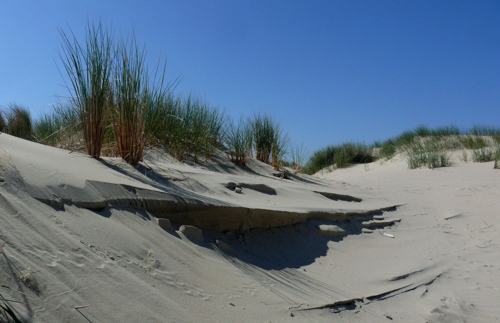 Borkum 2010 - Dünen am Oststrand