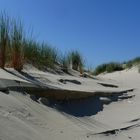 Borkum 2010 - Dünen am Oststrand