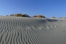 Borkum 2010 - Dünen sind immer ein beliebtes Motiv by Reinhold Müller