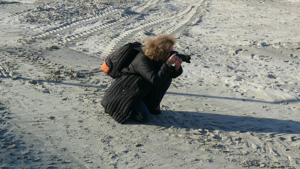 Borkum 2010 - "Mohnblume im Sand"