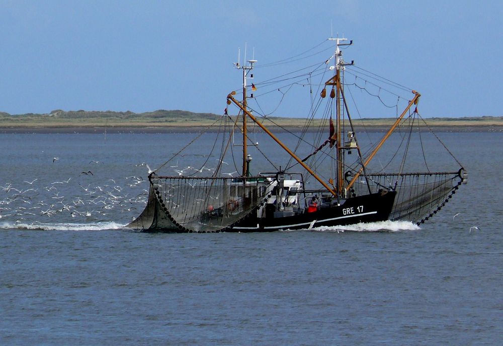 Borkum 2010 - Ob der Fang so gut war wie das heutige Wetter?