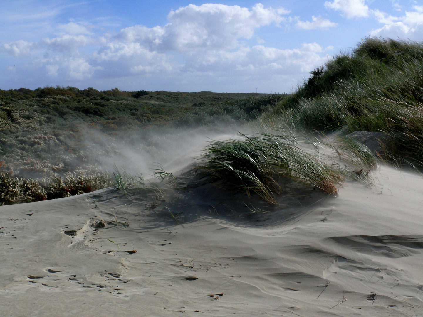 Borkum 2010 - Schönes Wetter, aber stürmisch