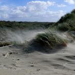 Borkum 2010 - Schönes Wetter, aber stürmisch