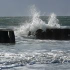 Borkum 2010 - Wellenbrecher