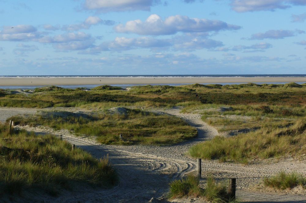 Borkum 2010 - Wer meckert denn da über's Wetter?