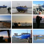 Borkum 2011 - Collage "Nordland I"