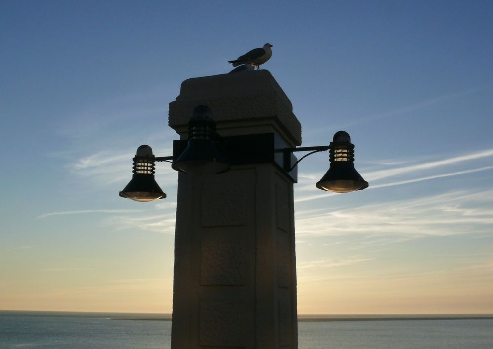 Borkum 2011 - Ein schönes Motiv krönt den abendlichen Blick auf's Meer