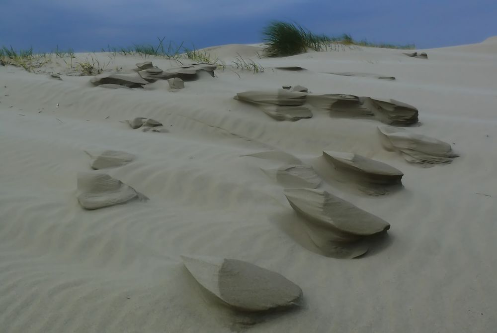 Borkum 2011 - Vom Wind geformt