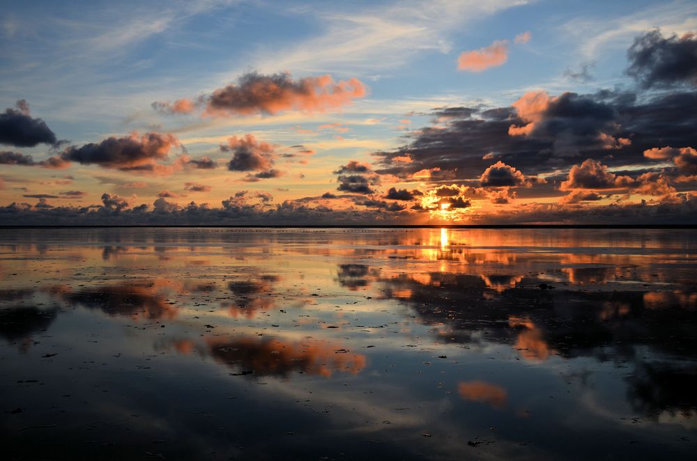 Borkum 2012