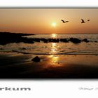 Borkum 2012 - Heute Abend am Nordstrand