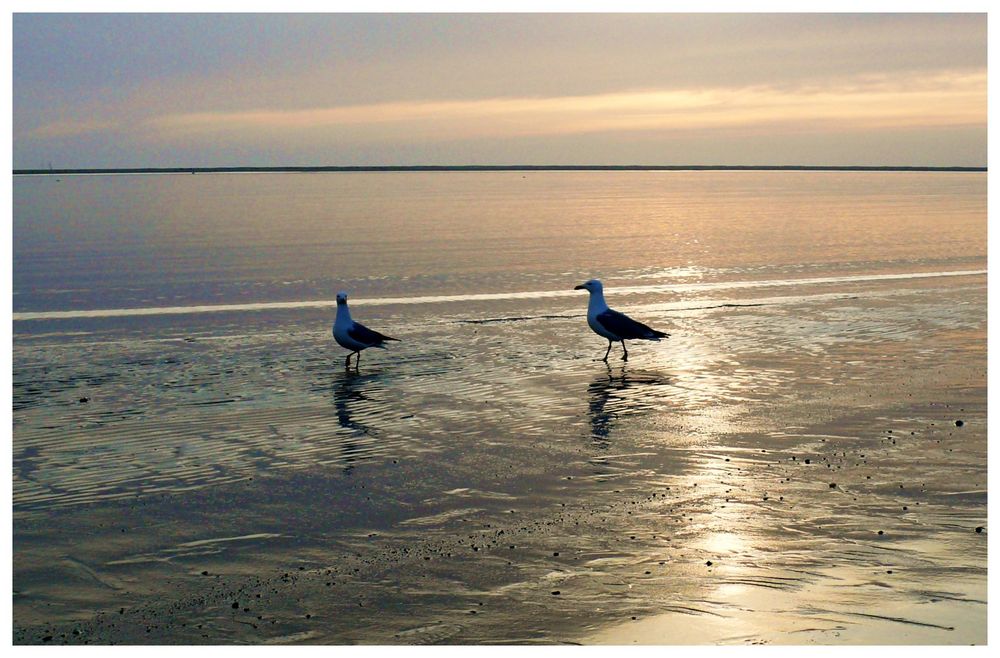 Borkum 2013 - Abendspaziergang