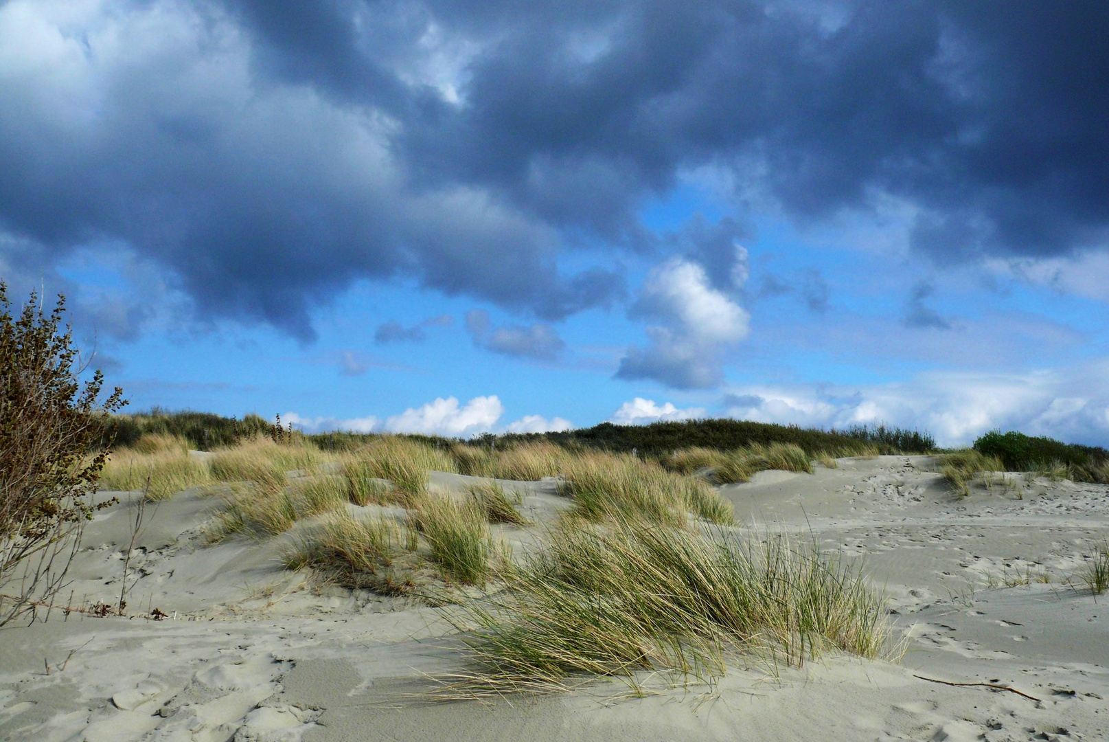 Borkum 2013 - Der Wind hat die dunklen Wolken heute auf's Festland geblasen