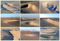 Borkum 2013 - Ergebnis der Winterstürme als Collage