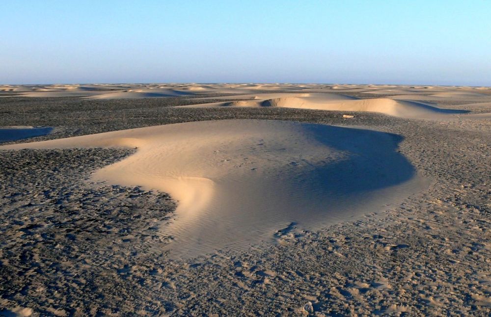 Borkum 2013 - Ergebnis der Winterstürme