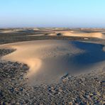 Borkum 2013 - Ergebnis der Winterstürme