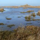 Borkum 2014 - Hinter den Dünen im Nordosten von Borkum ...