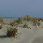 Borkum 2015 - Bei dem Wetter macht das Wandern richtig Spaß