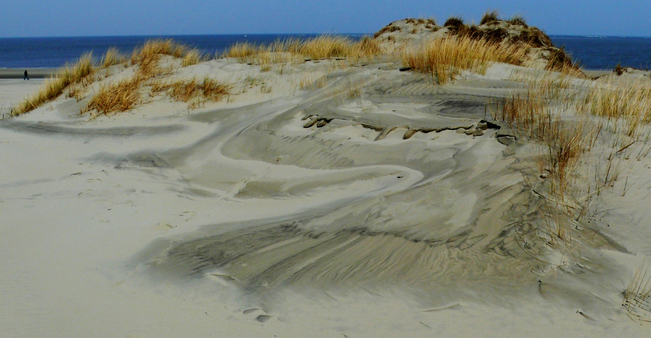 Borkum 2015 - Die Natur als Künstler (1)