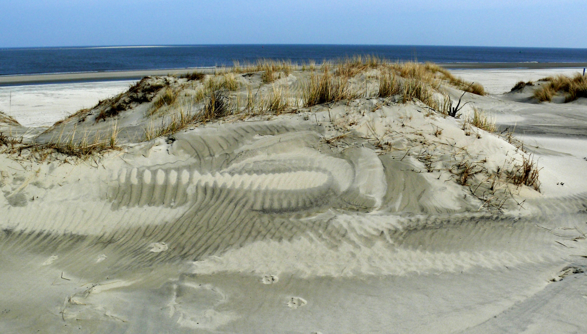 Borkum 2015 - Die Natur als Künstler (2)