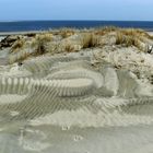 Borkum 2015 - Die Natur als Künstler (2)