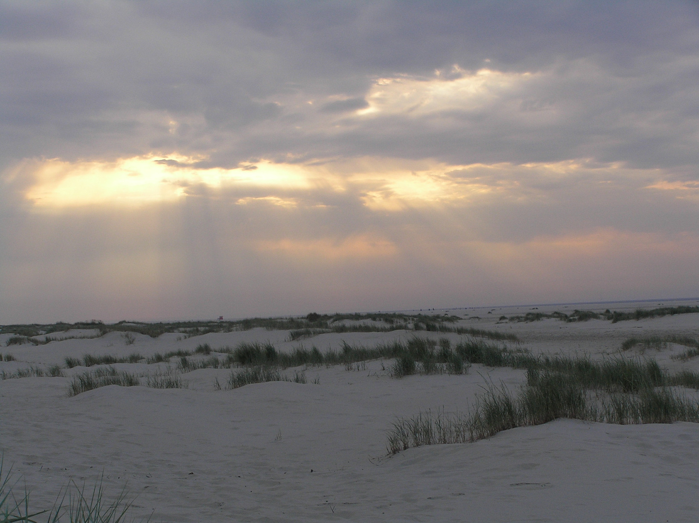 Borkum