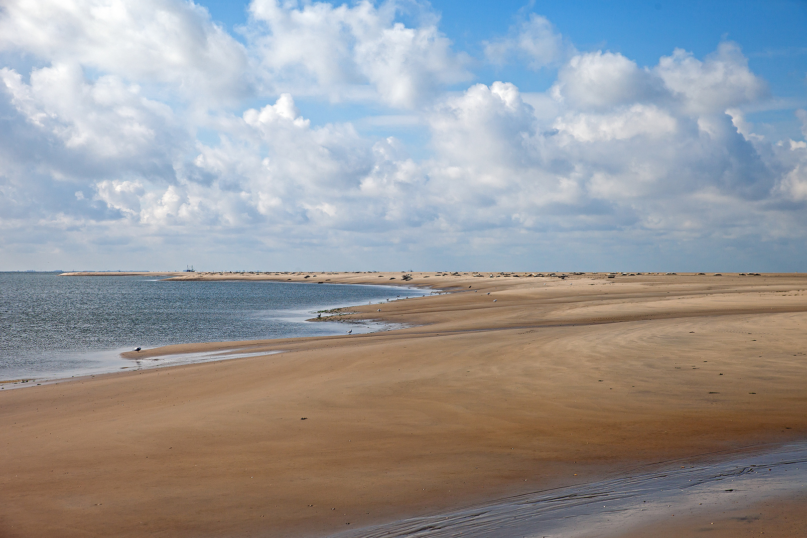 Borkum