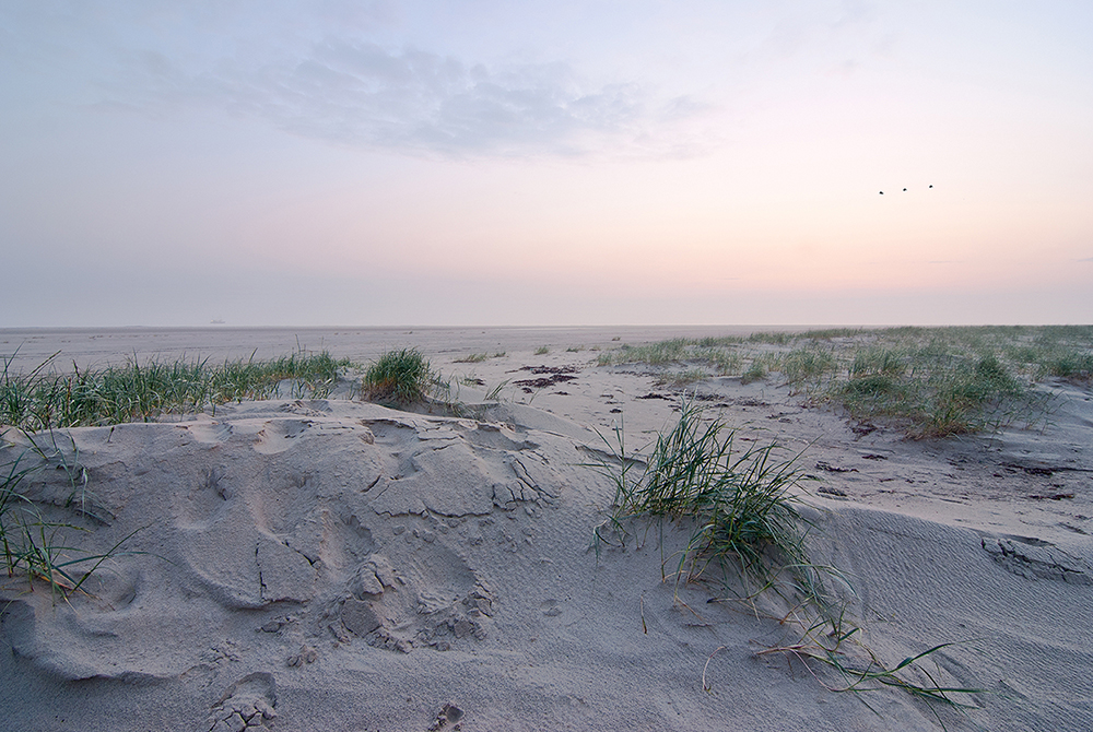 Borkum