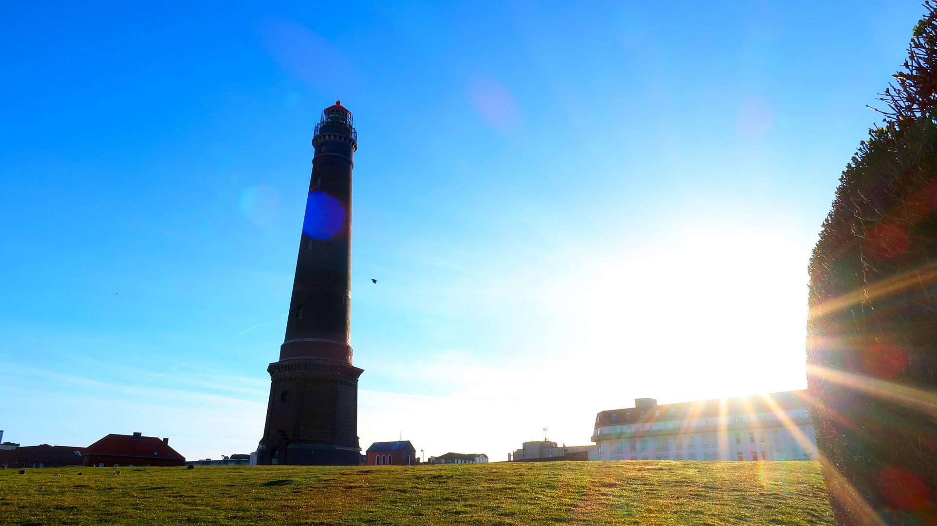 Borkum