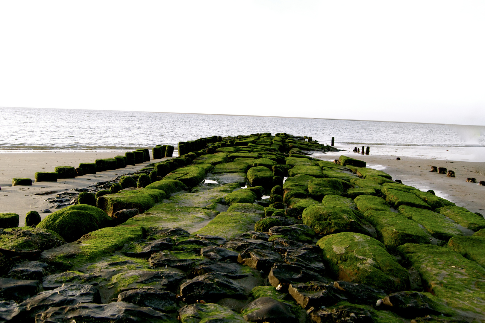 Borkum