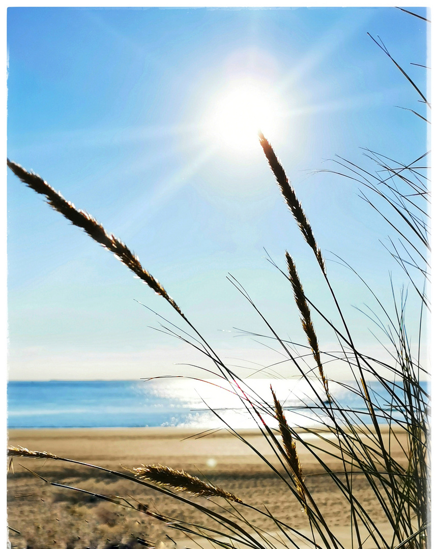 Borkum