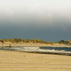 Borkum #5