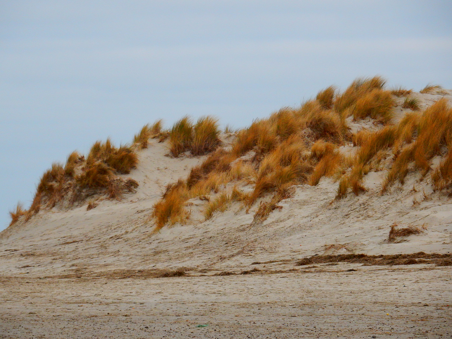 Borkum