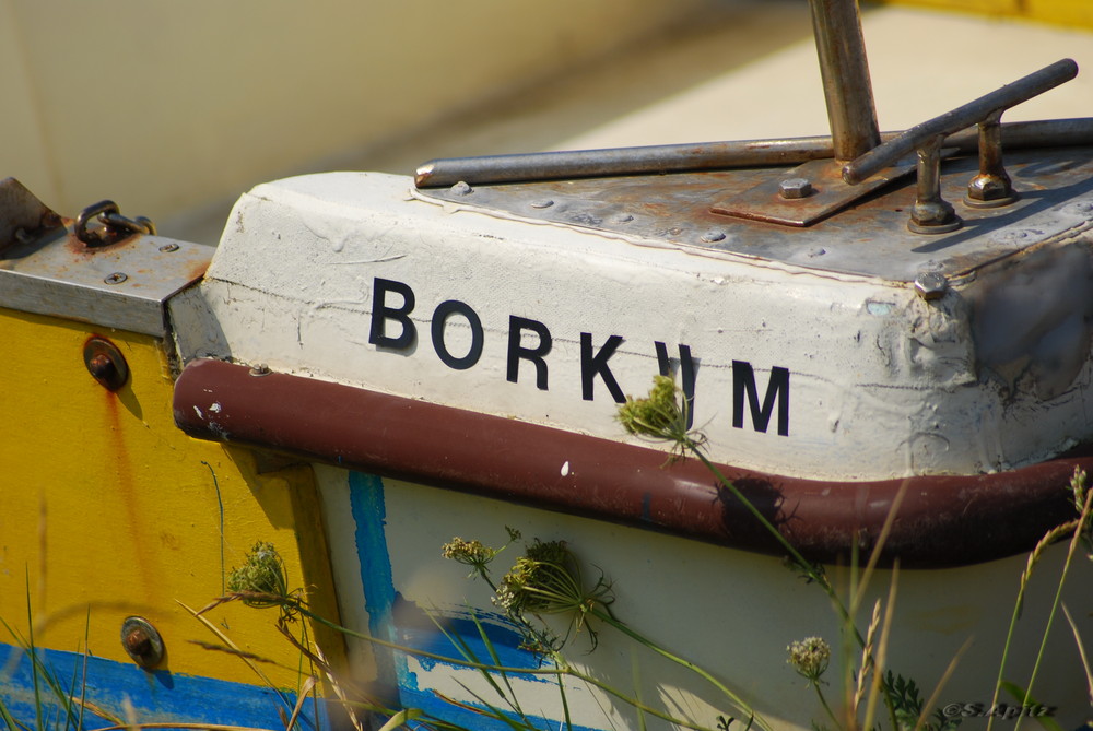 Borkum