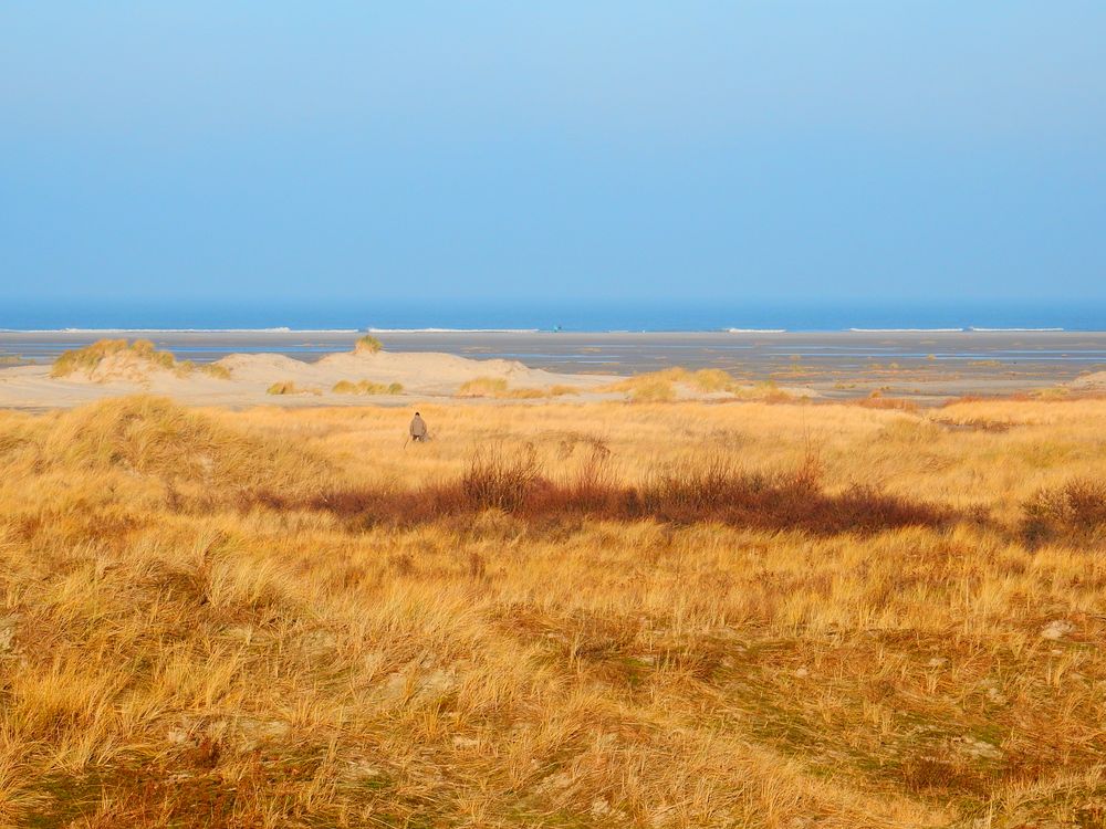 Borkum