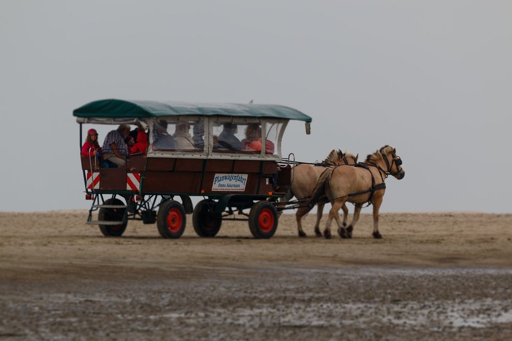 Borkum 